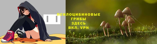 тгк Балахна